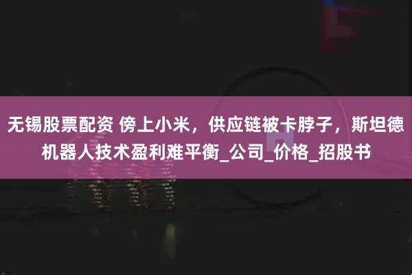 无锡股票配资 傍上小米，供应链被卡脖子，斯坦德机器人技术盈利难平衡_公司_价格_招股书