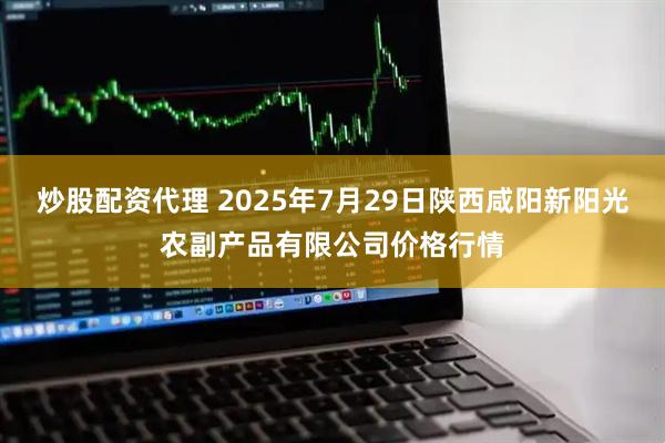 炒股配资代理 2025年7月29日陕西咸阳新阳光农副产品有限公司价格行情