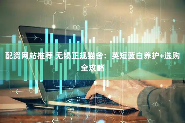 配资网站推荐 无锡正规猫舍：英短蓝白养护+选购全攻略
