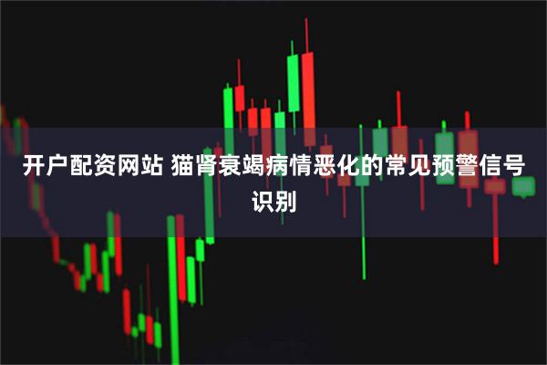开户配资网站 猫肾衰竭病情恶化的常见预警信号识别